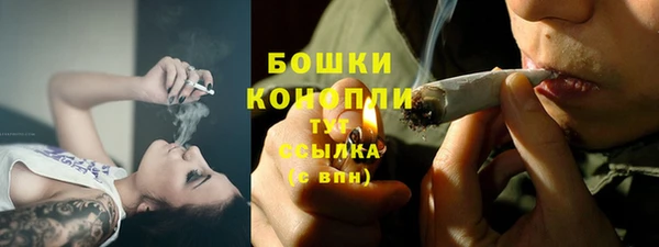 амф Вязьма