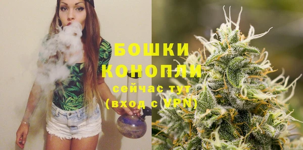 амф Вязьма