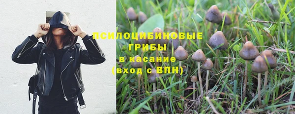 герыч Вяземский