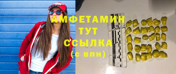 амф Вязьма