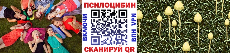 Галлюциногенные грибы прущие грибы  Купить закладки  Окуловка 