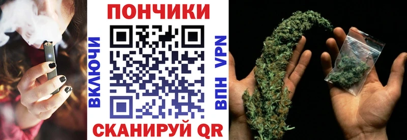 Купить где  Окуловка  Марихуана сатива 
